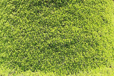 备受好评像素RPG游戏《星之海》推出艺术画集